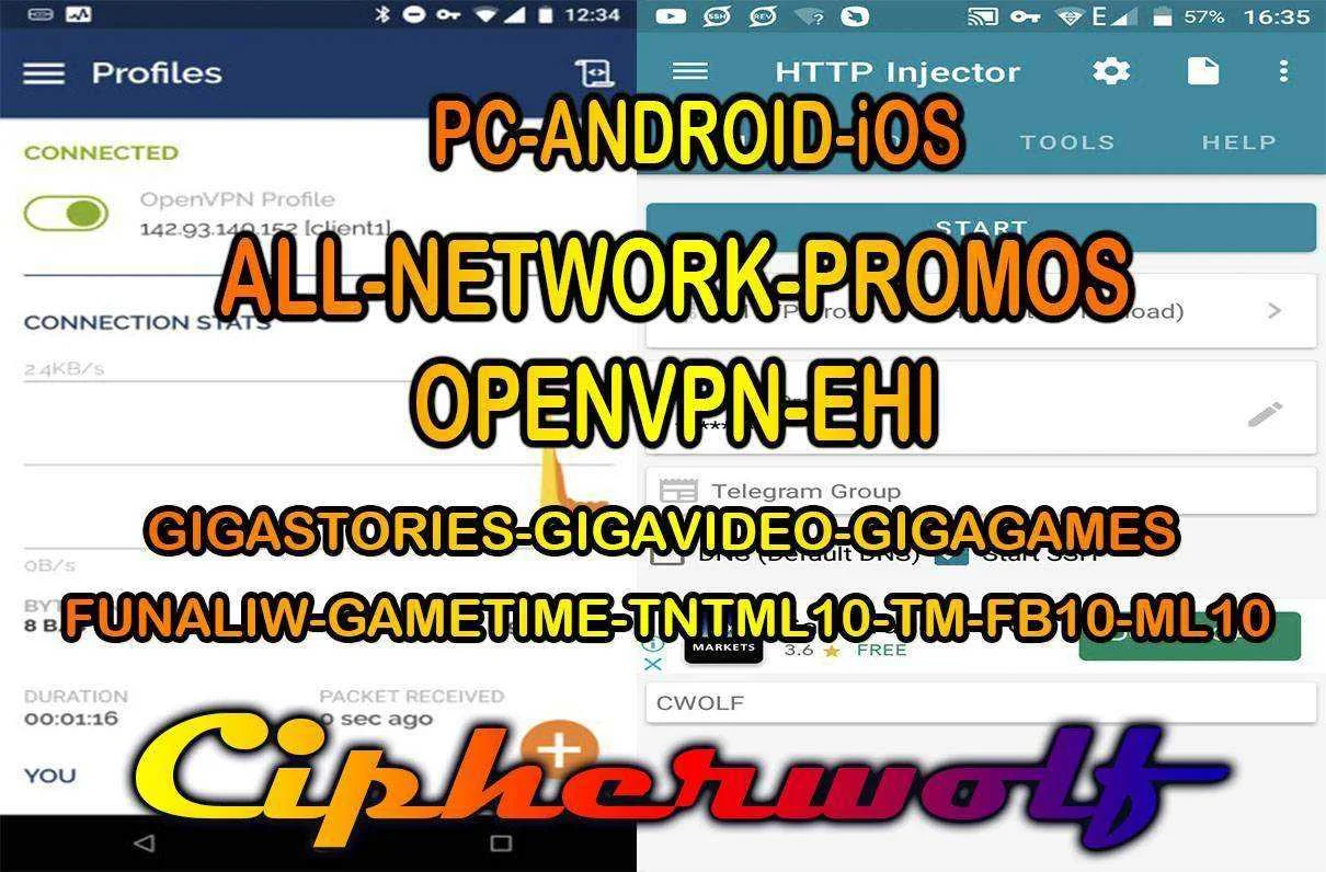 OVPN-EHI1.jpg
