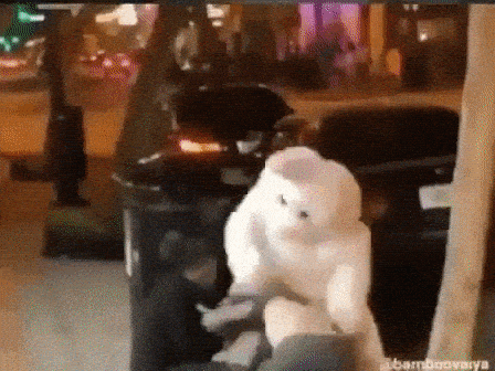 ezgif.com-gif-maker.gif