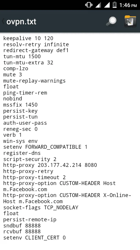 steo5.webp