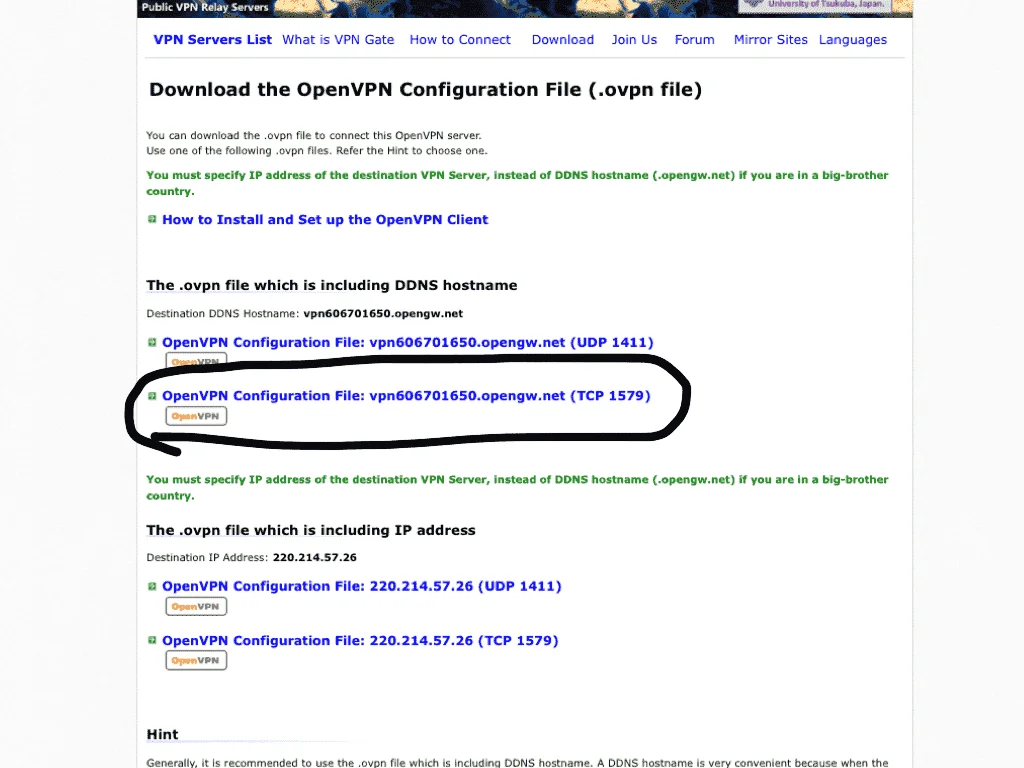 image.webp