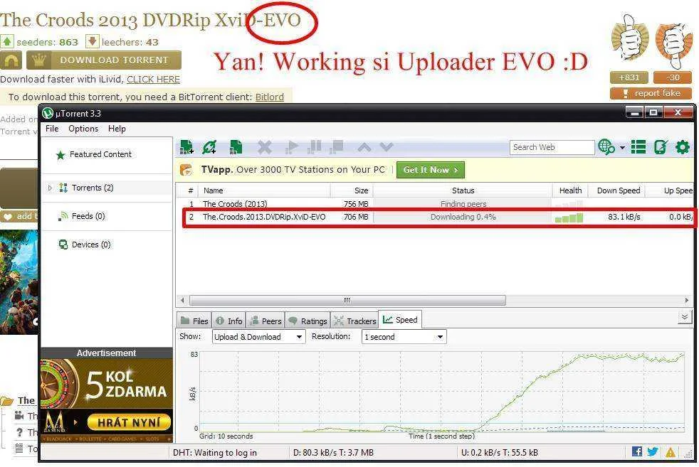 7.webp