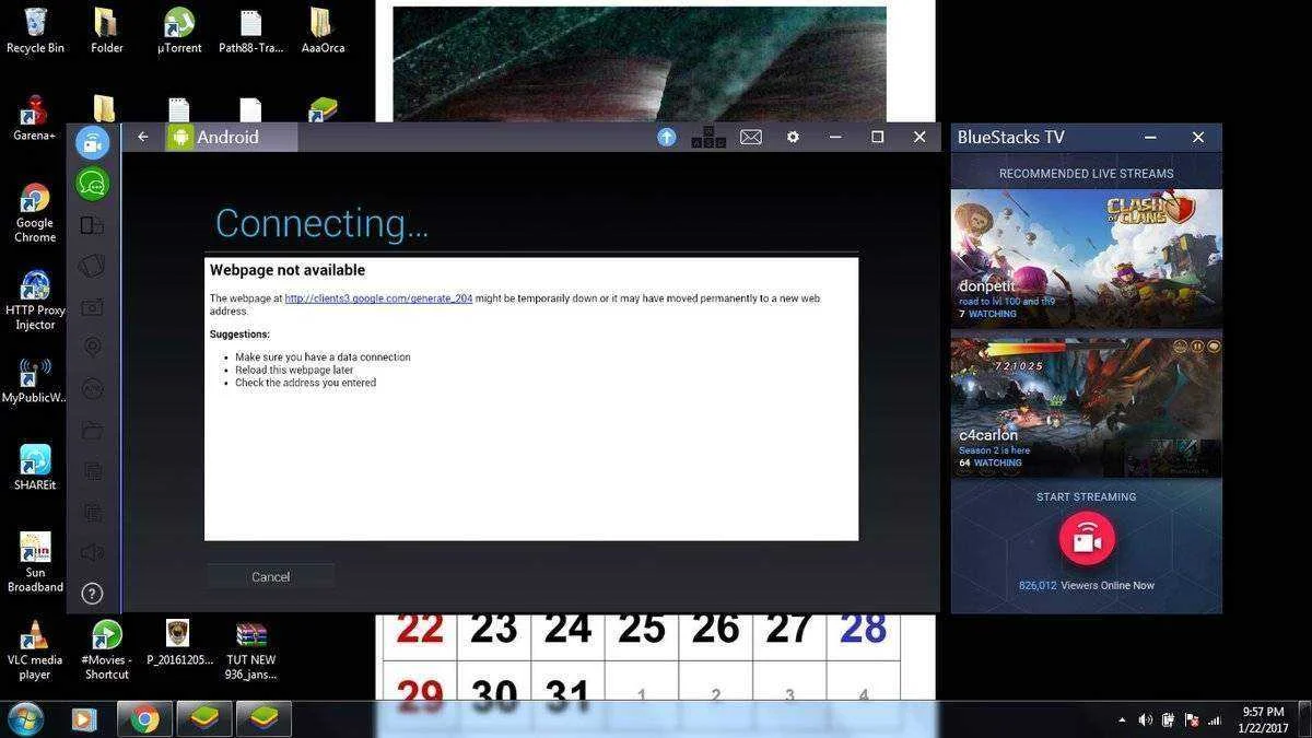BLU.webp