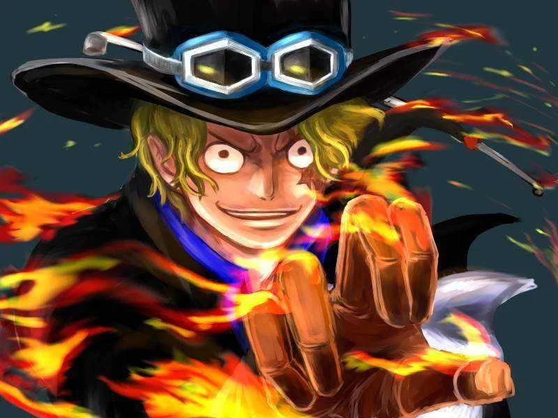 Sabo trained under Monkey D. Dragon!