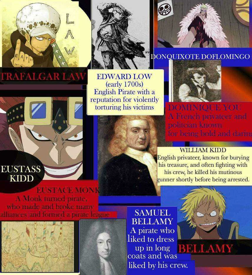 Trafalgar Law, Eustass Kid, Doflamingo & Bellamy Historical Connections