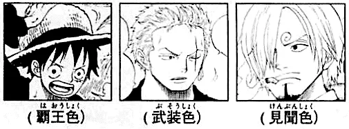 Oda revealed who in the Straw Hat Pirates can use Haki