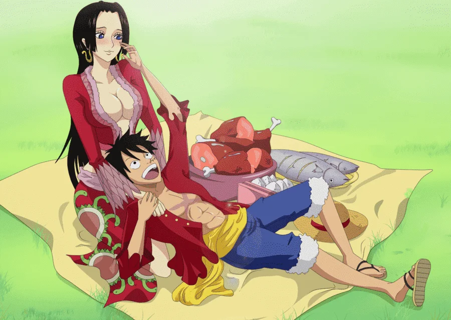 Romantic Relationships in One Piece