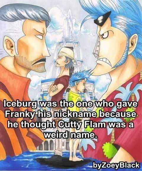 Did You Know? One Piece Facts part 6