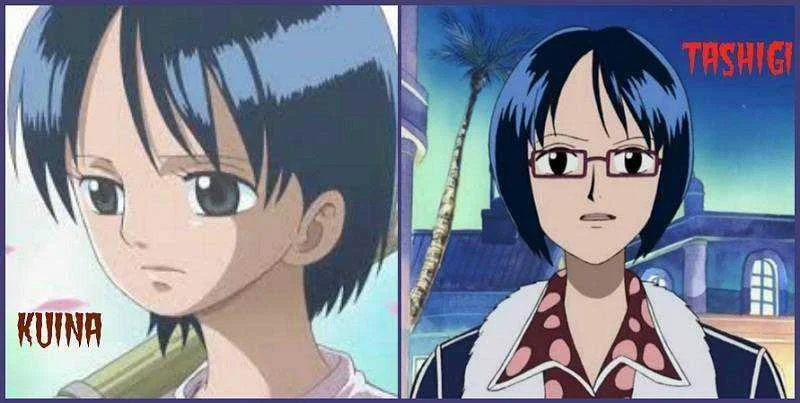 Tashigi and Kuina, One Piece Facts
