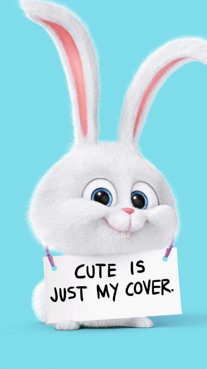 Cute Is Just My Cover Rabbit Android Wallpaper.webp