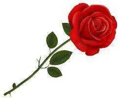 download.webp