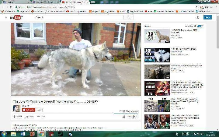 Untitled.webp