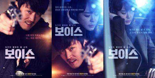 Voice (2017 - ocn)