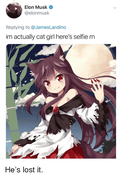 Elon musk loves anime