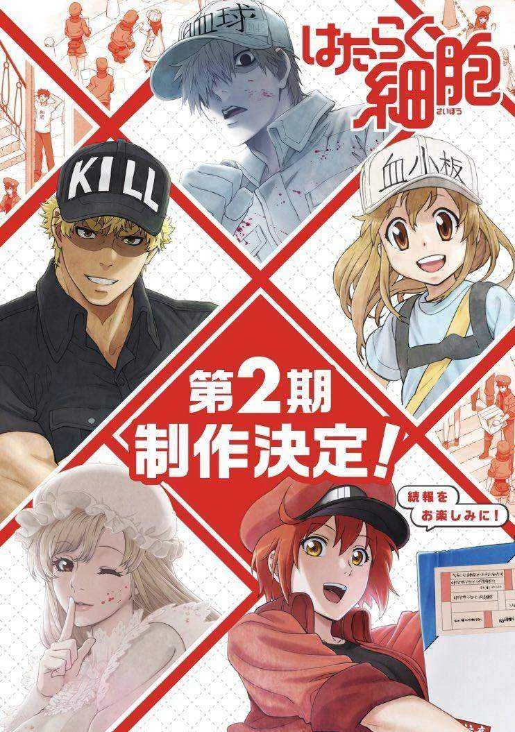 "Cells at Work!" S2 anime announcement