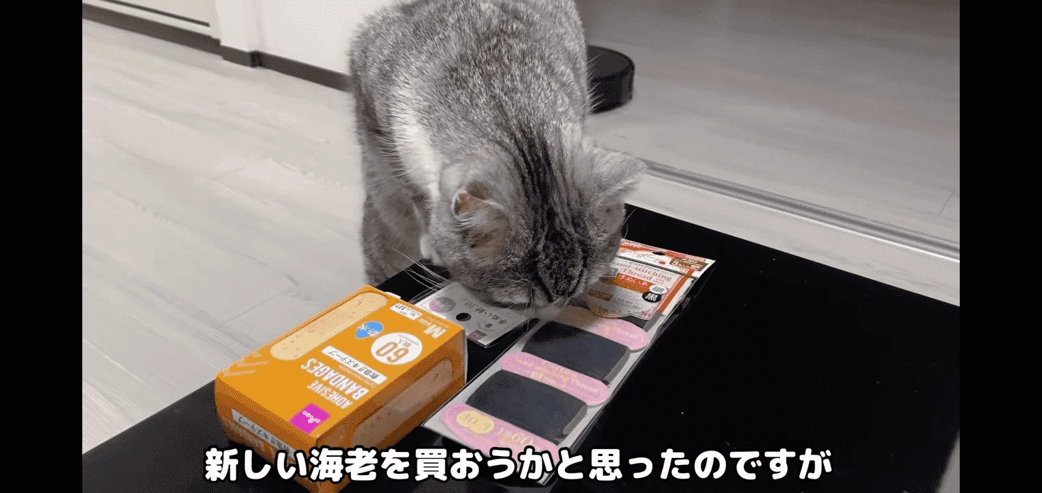 Screenshot_2021-01-30-14-04-56-05.webp