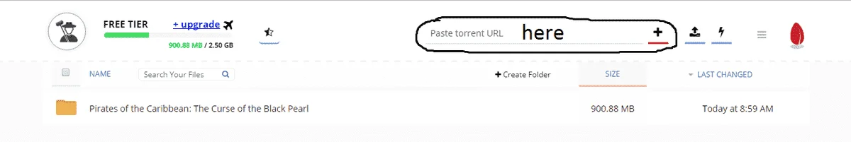 torrent.webp