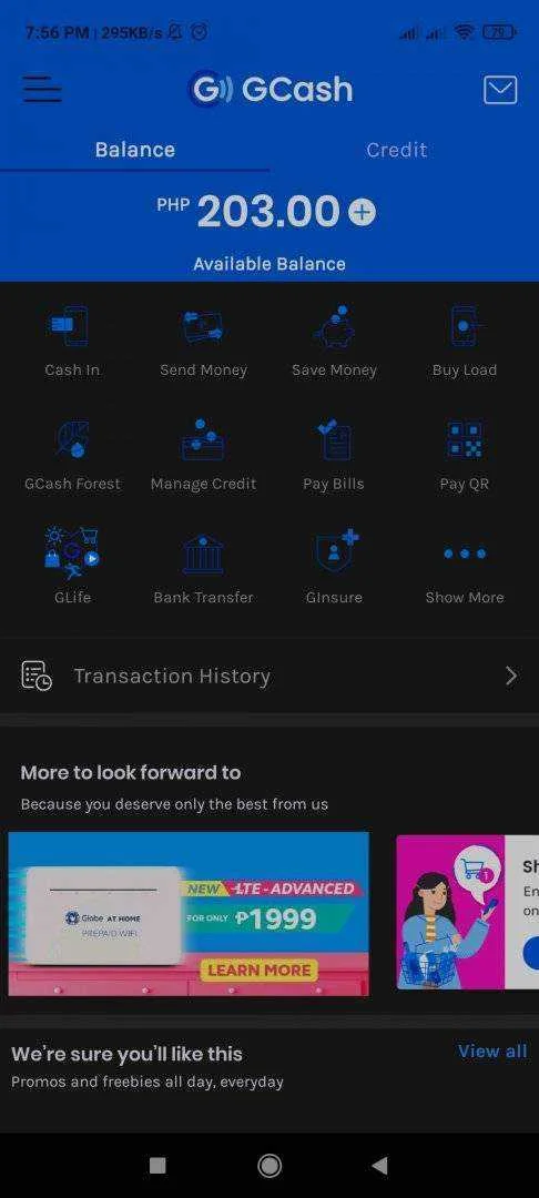 Screenshot_2021-02-05-19-56-12-493_com.globe.gcash.android.jpg