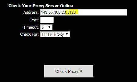 1.webp