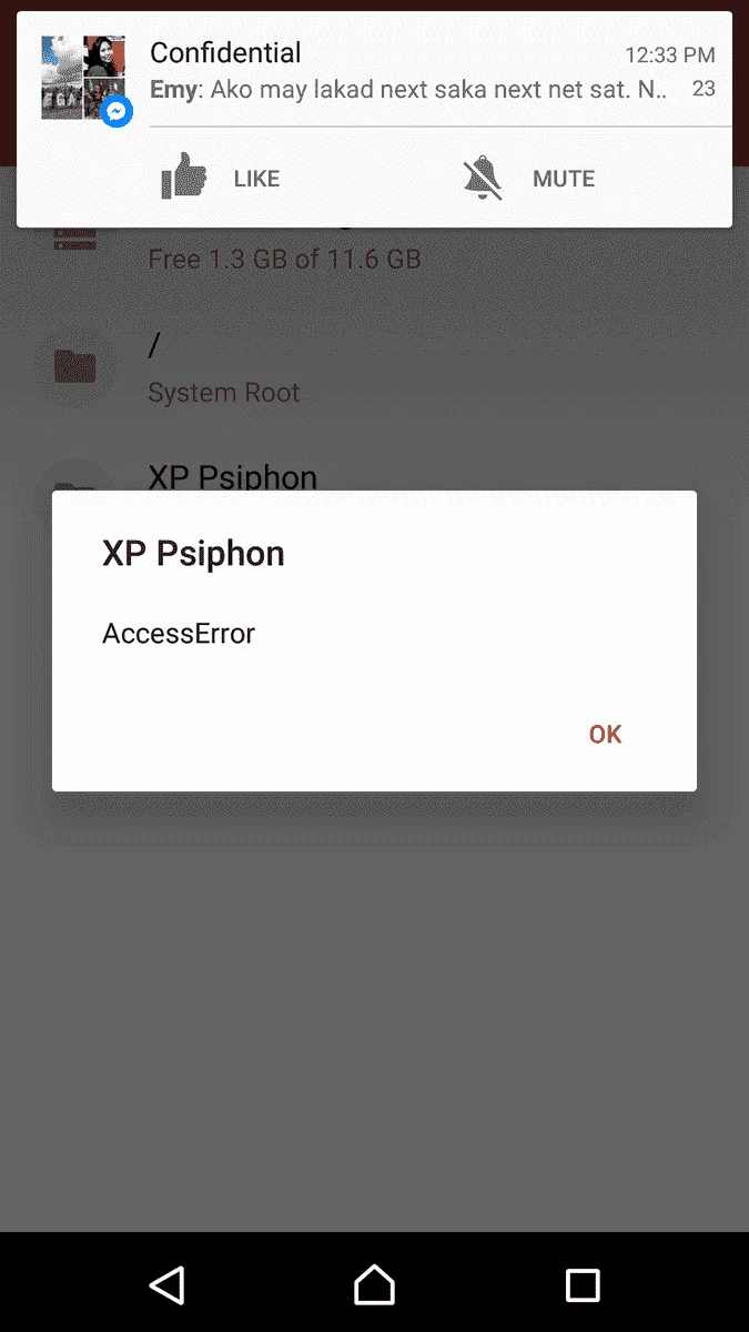 Screenshot_20170210-124213.webp