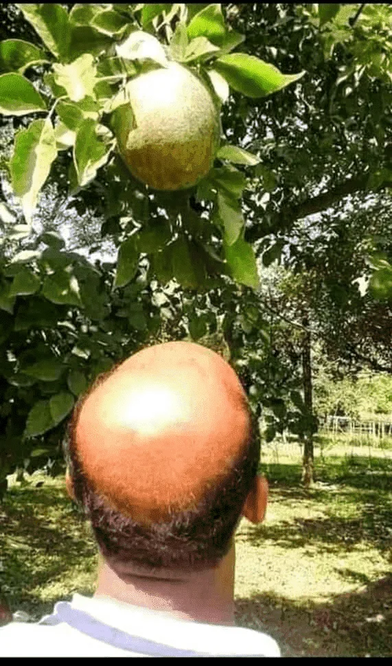 1612743909268.webp