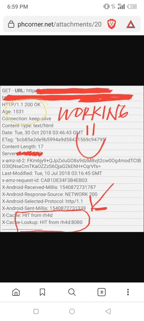 Screenshot_20210208-185953.webp