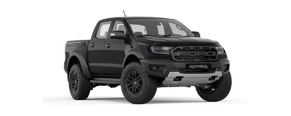 raptor.webp