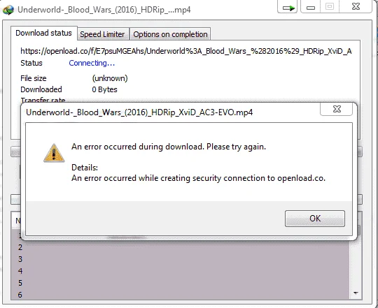 idm.webp