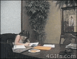 study2.gif