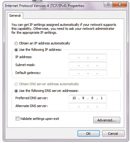 dns.webp