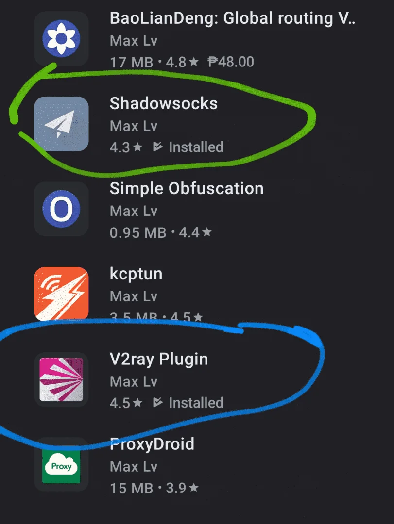 Screenshot_20210215-010637_Google Play Store.png