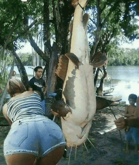 1613461462298.webp