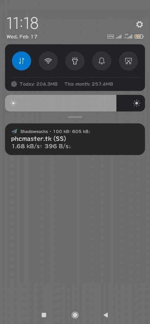 Screenshot_2021-02-17-11-18-23-384_com.github.shadowsocks.webp