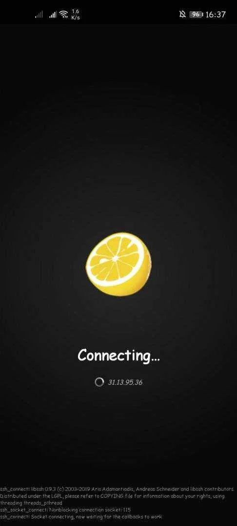 Screenshot_20210217_163708_com.sonelli.juicessh.webp