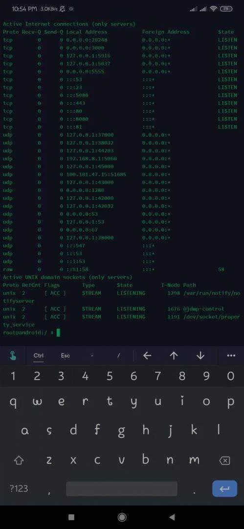 Screenshot_2021-02-17-22-54-14-026_com.server.auditor.ssh.client.webp