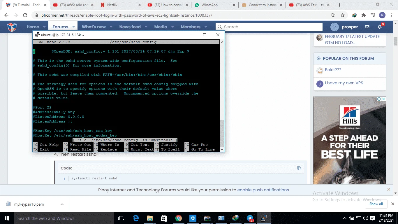 1613683696549.webp