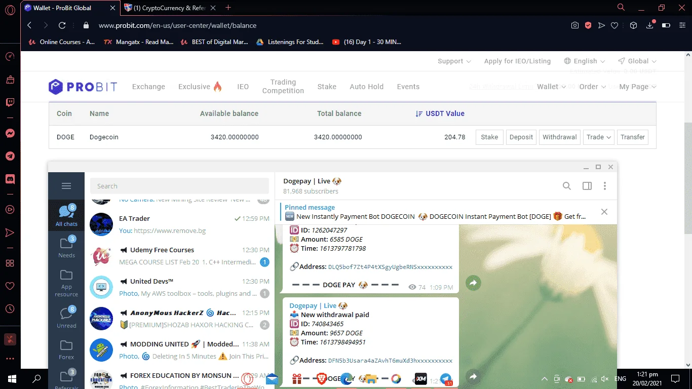 1613798508365.webp