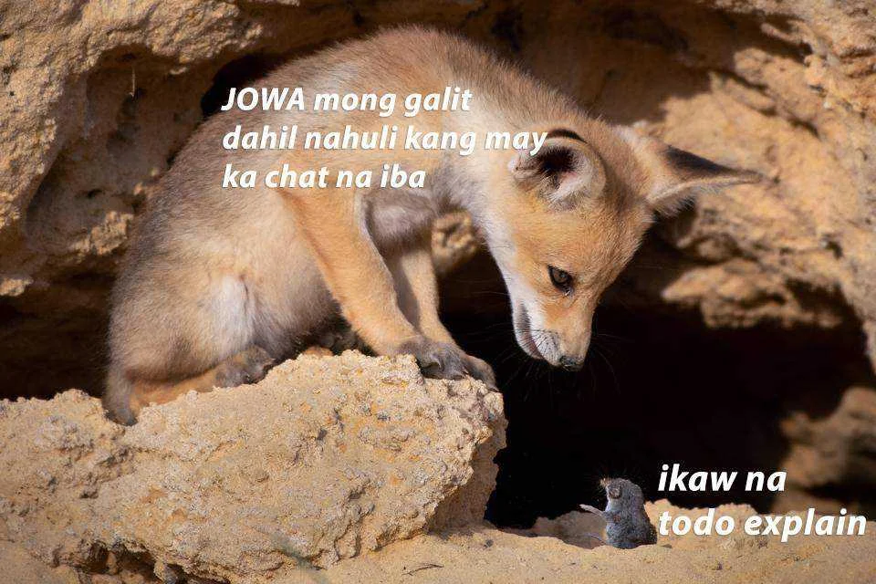 jowa.webp