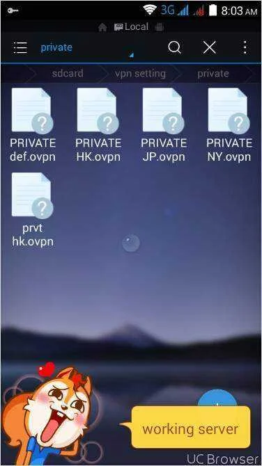TMPDOODLE1487117092047.webp