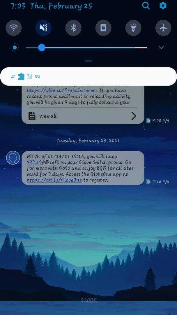 Screenshot_20210225-190322_Messages.webp