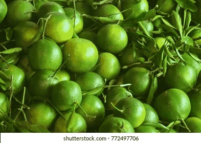 1614434474966.webp