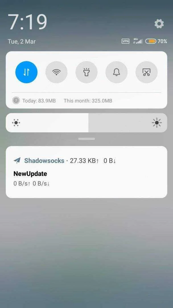 Screenshot_2021-03-02-19-19-33-929_com.github.shadowsocks.webp