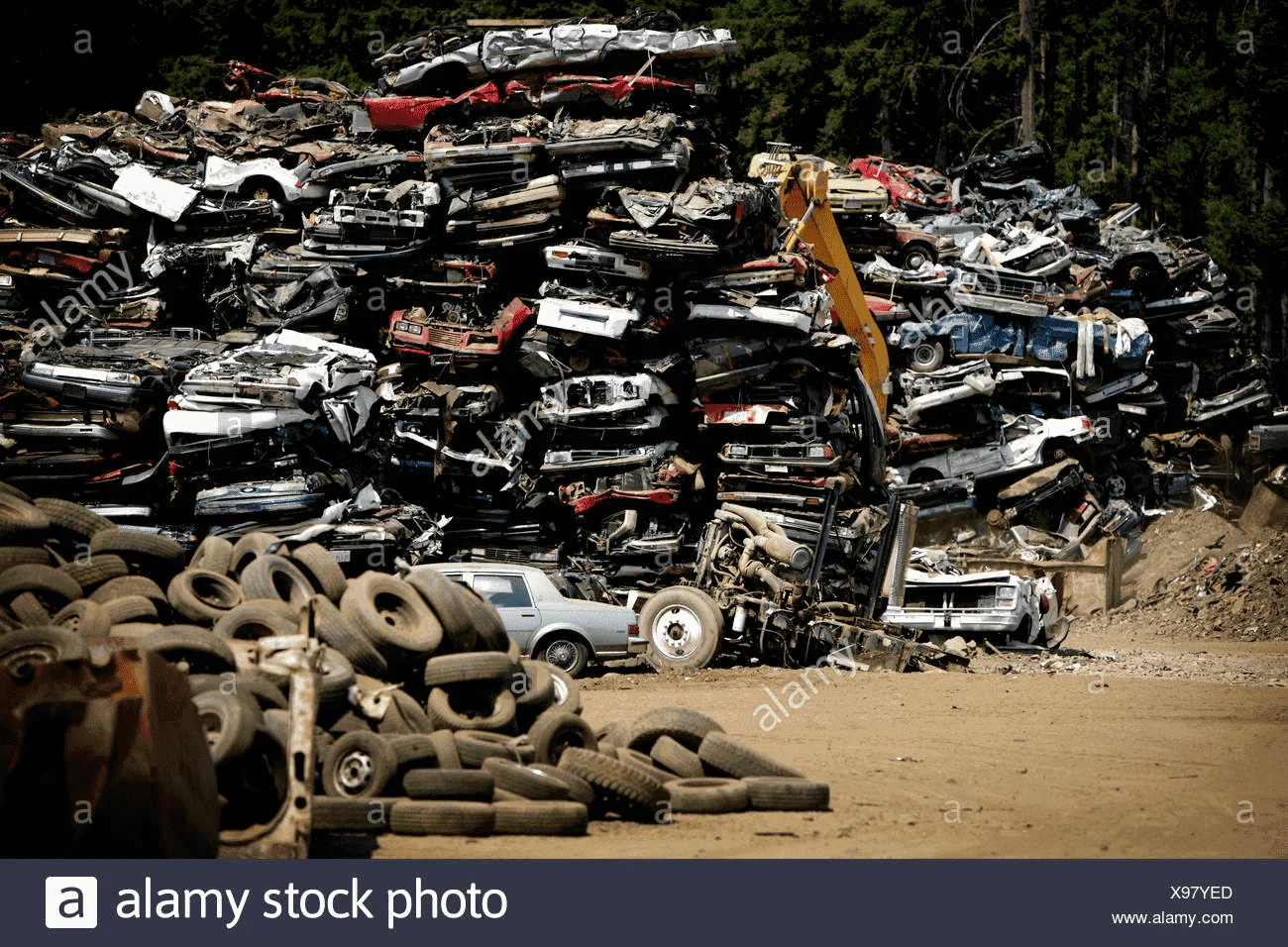 1615004497311.webp