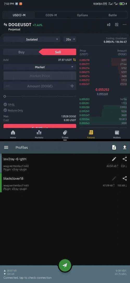 Screenshot_2021-03-08-19-53-13-231_com.github.shadowsocks.webp