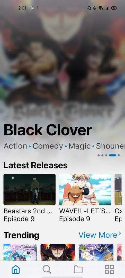 ANIME FEVER