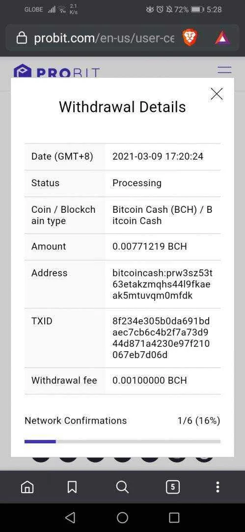 Screenshot_20210309_172825_com.brave.browser.webp
