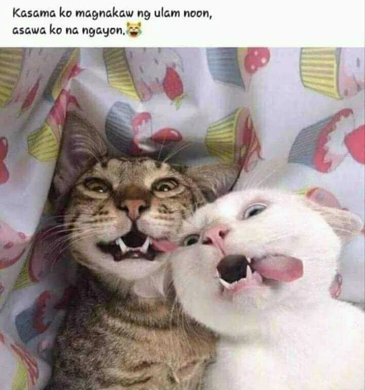 FB_IMG_16152518958604638.webp