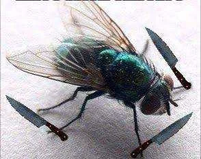 IMG_20210313_102145.webp