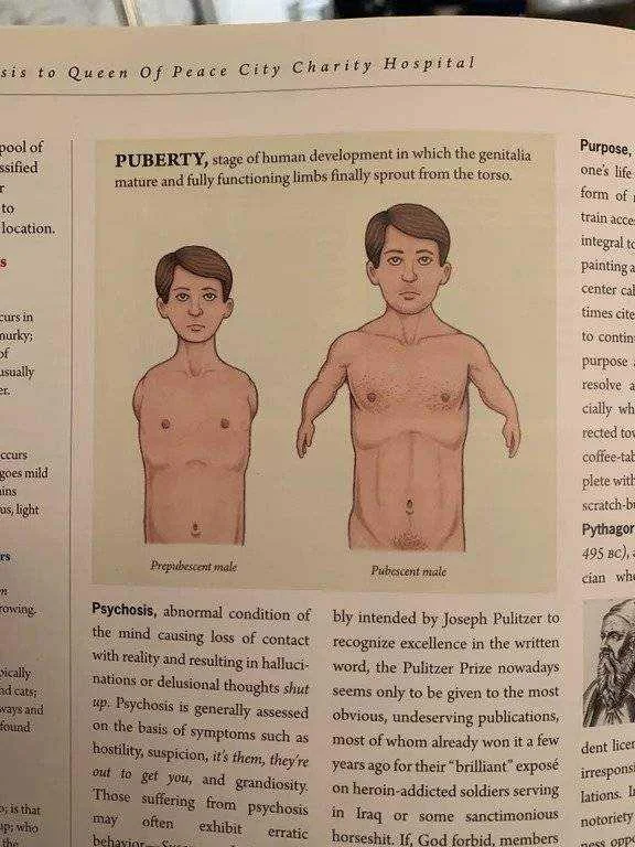 aot.webp