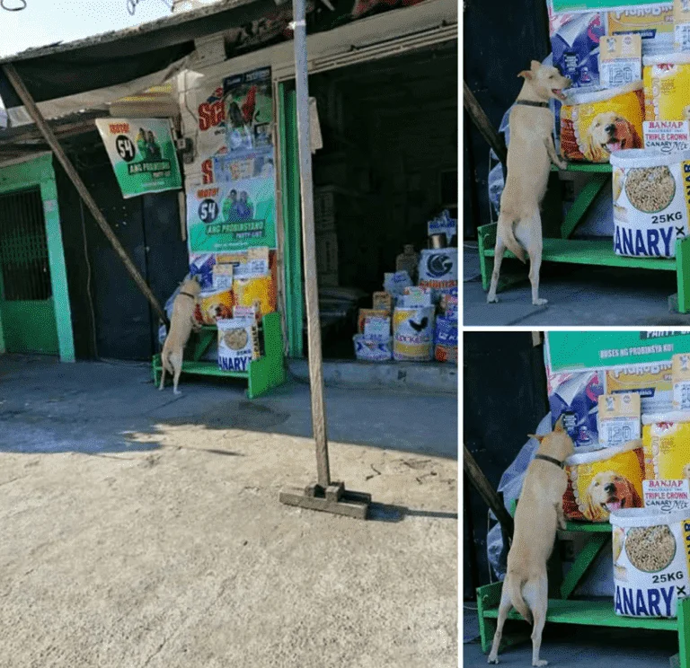 Almusal muna habang ala pa ang nagtitinda.webp