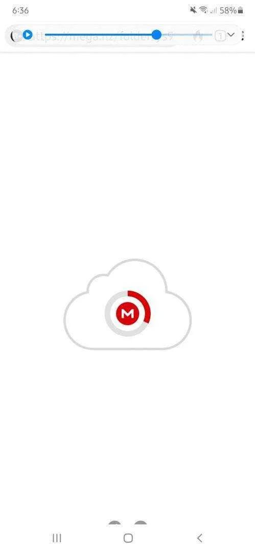 Screenshot_20210317-183618_DuckDuckGo.webp